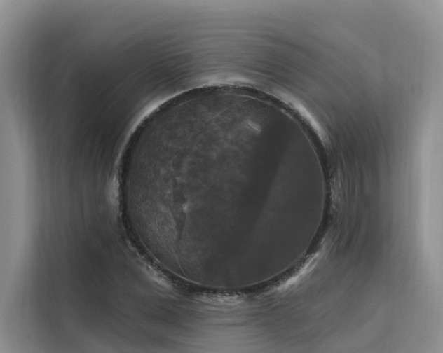 X0000112200975200908071430