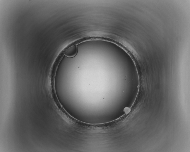 X0000112200976200908071430