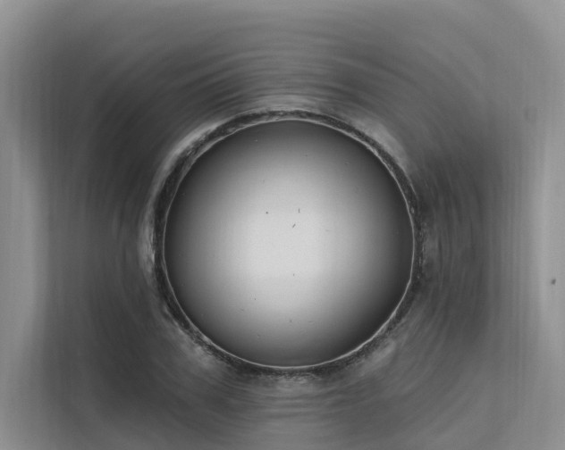 X0000112200979200908071430
