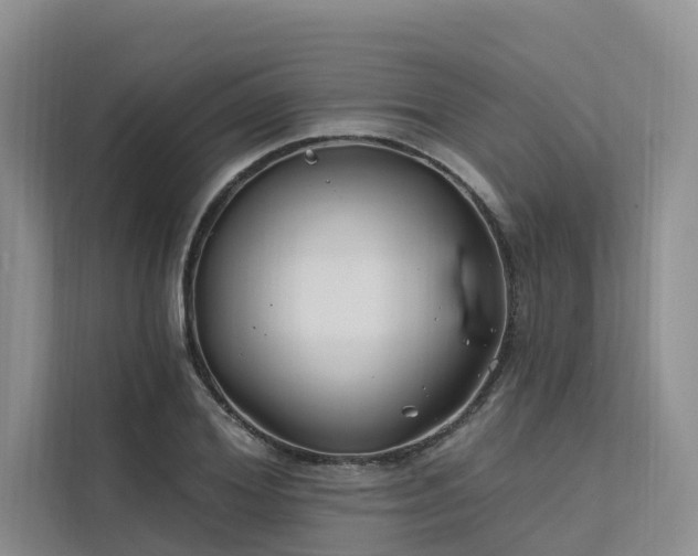 X0000112200980200908071430
