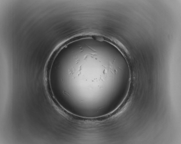 X0000112200981200908071430