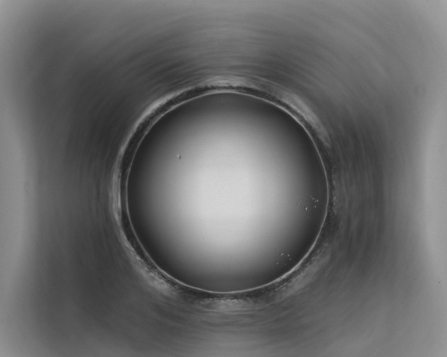 X0000112200984200908071430