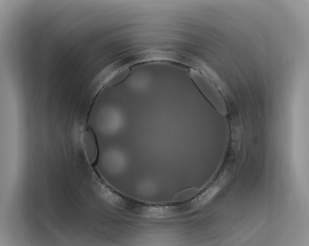 X0000112200985200908071430