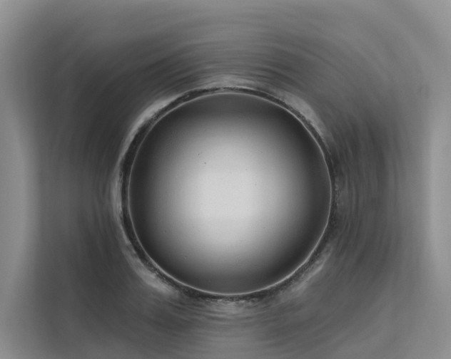 X0000112200987200908071430