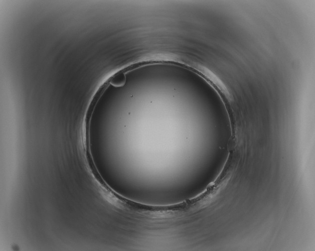 X0000112200988200908071430