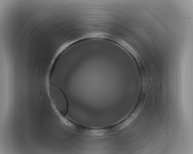 X0000112200989200908071430