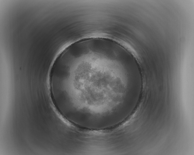 X0000112200990200908071430