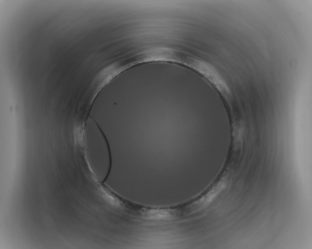 X0000112200993200908071430