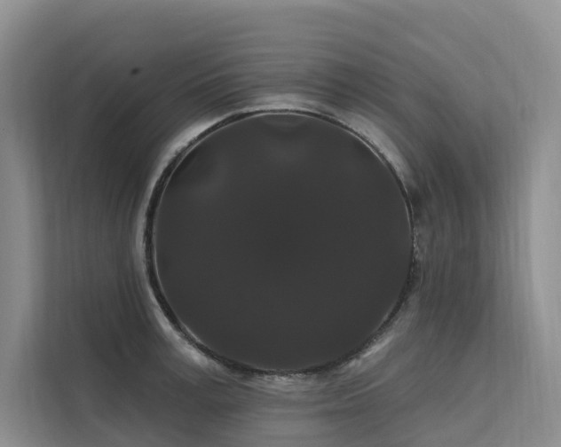 X0000112200995200908071430