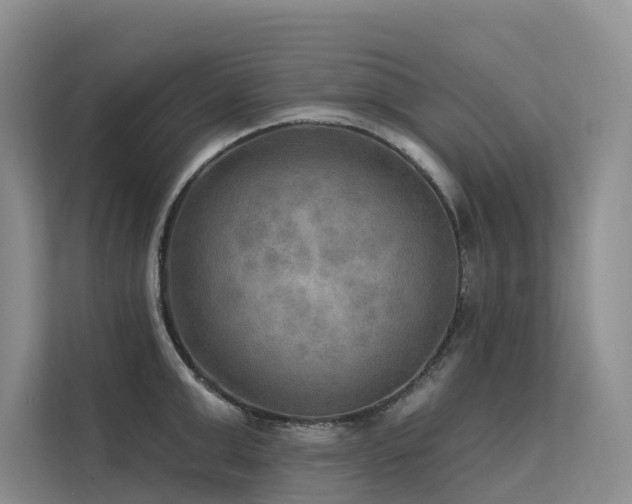 X0000112200999200908071430