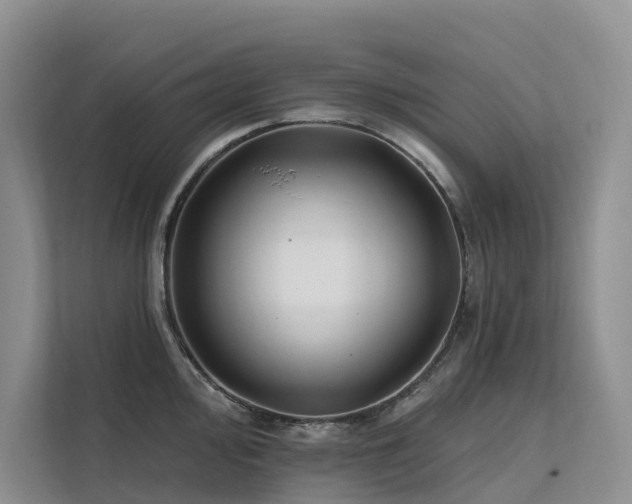 X0000112201000200908071430
