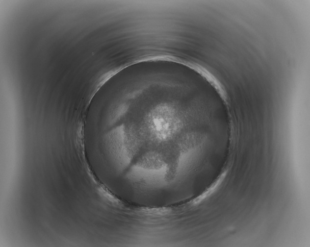 X0000112201001200908071430