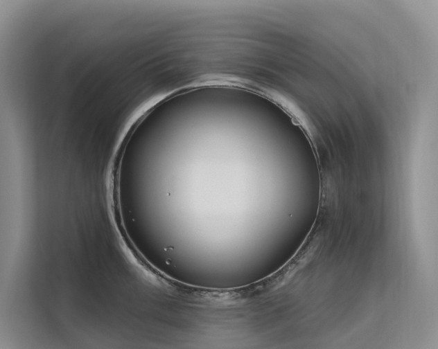 X0000112201003200908071430