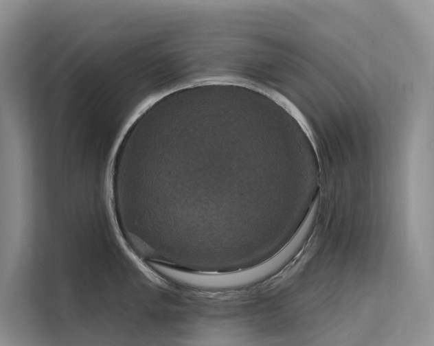 X0000112201005200908071430