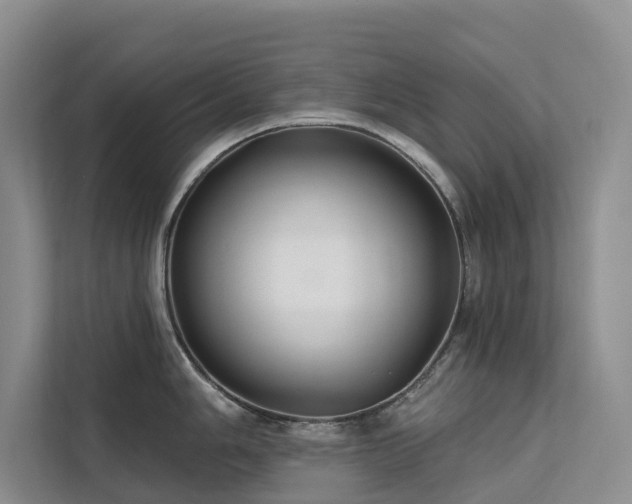 X0000112201006200908071430