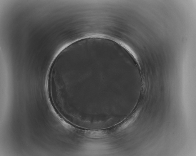 X0000112201007200908071430