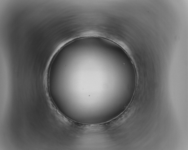 X0000112201008200908071430