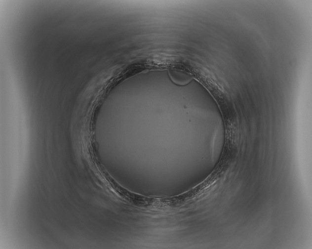 X0000112201009200908071429