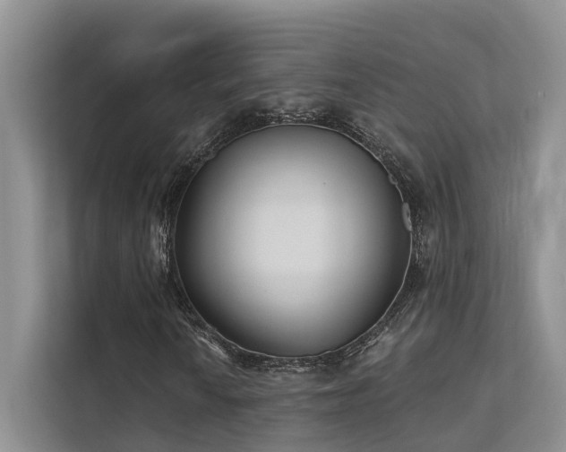 X0000112201010200908071429