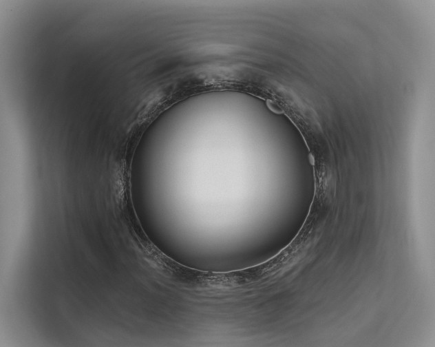 X0000112201012200908071429