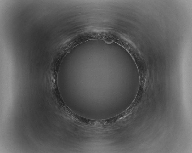 X0000112201013200908071429