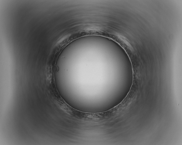 X0000112201015200908071429
