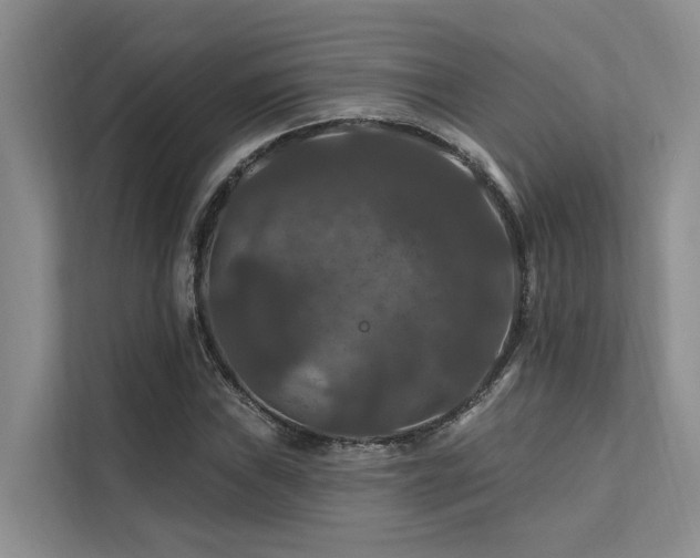 X0000112201019200908071430