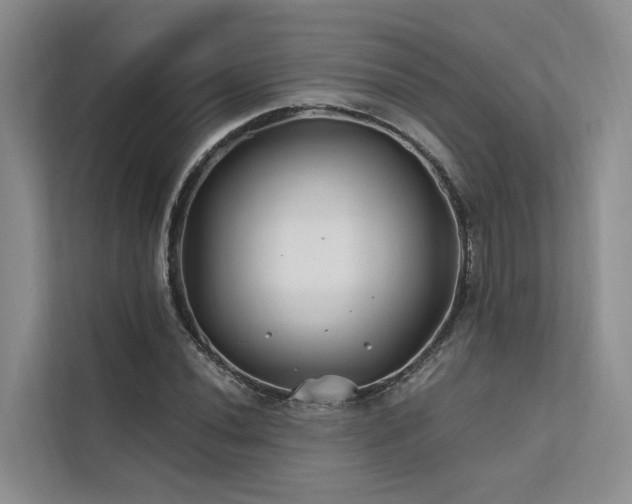 X0000112201020200908071430