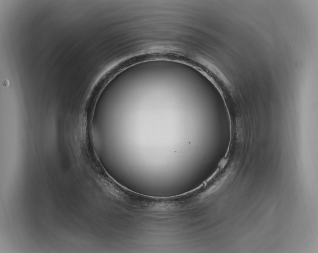 X0000112201021200908071430