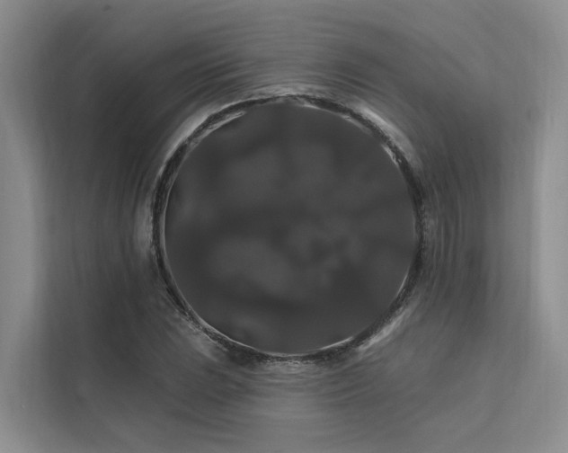 X0000112201023200908071430