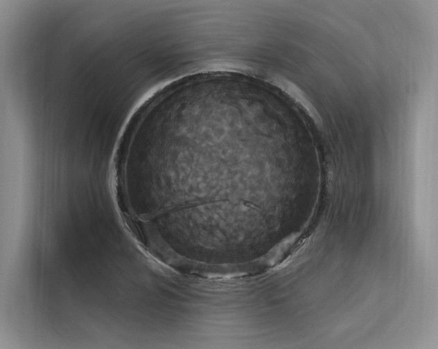 X0000112201024200908071430