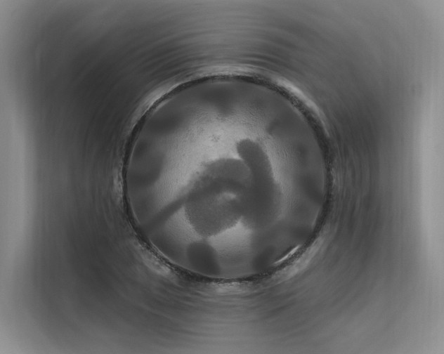 X0000112201025200908071430