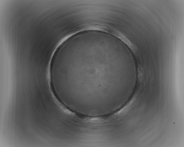 X0000112201028200908071430