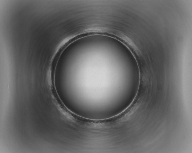 X0000112201030200908071430