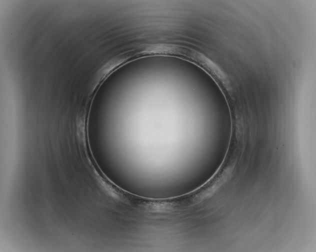 X0000112201041200908071430