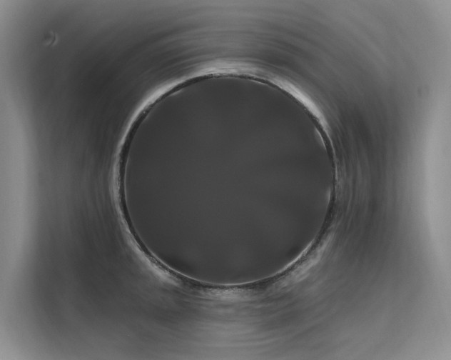 X0000112201045200908071430