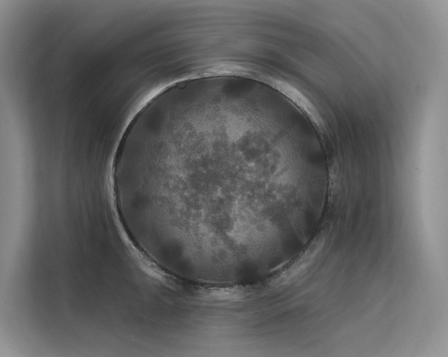 X0000112201047200908071430