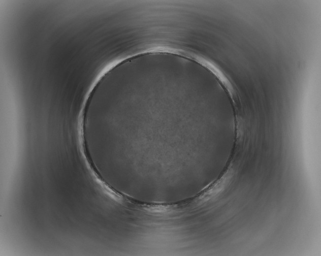 X0000112201048200908071430