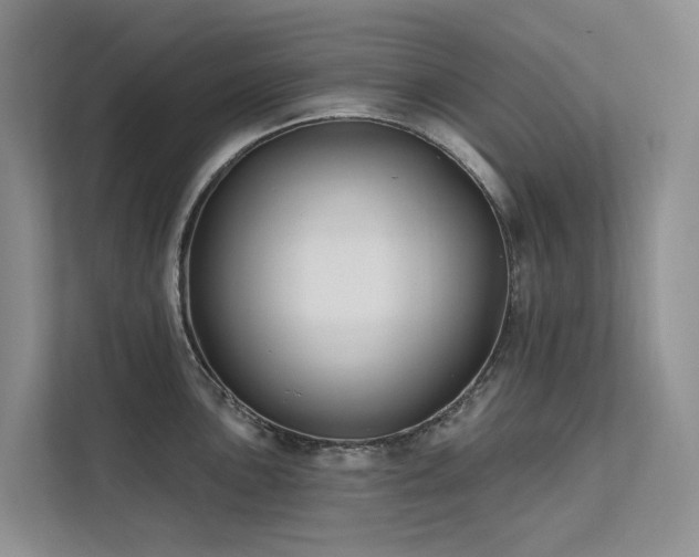 X0000112201051200908071430