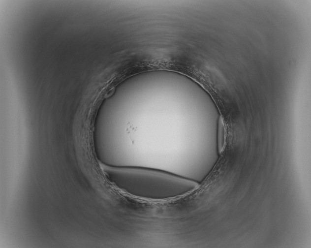 X0000112201057200908071429