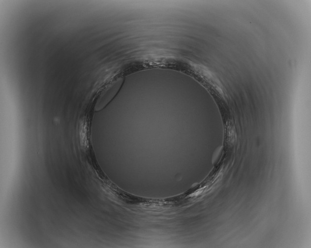 X0000112201060200908071429