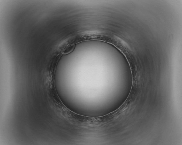 X0000112201062200908071429