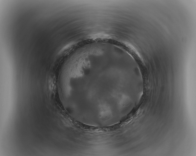 X0000112201063200908071429