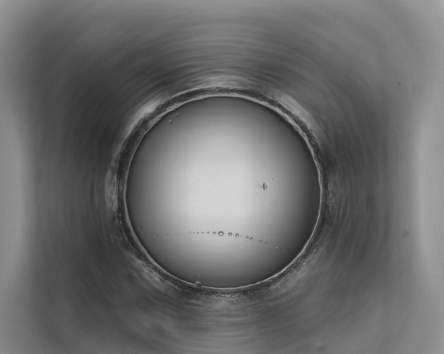 X0000112201067200908071429