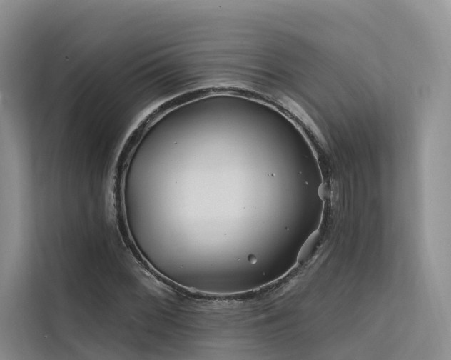 X0000112201068200908071429