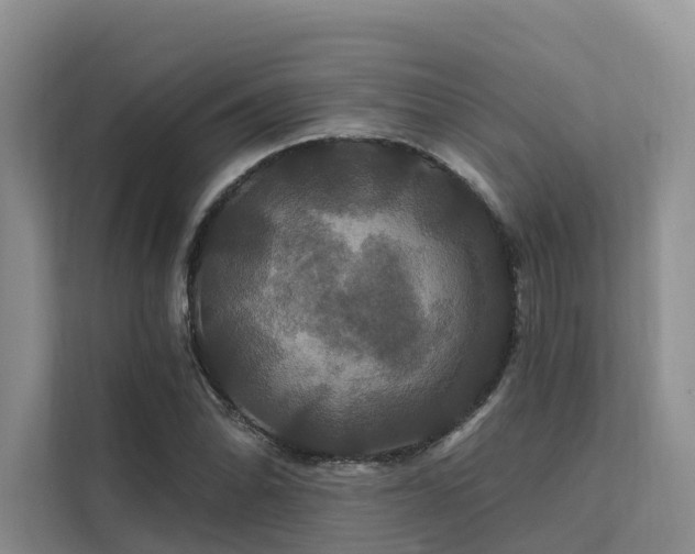 X0000112201070200908071429