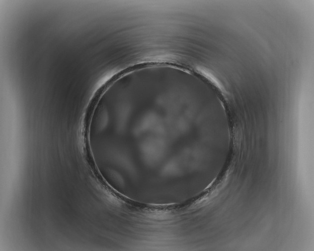 X0000112201071200908071429