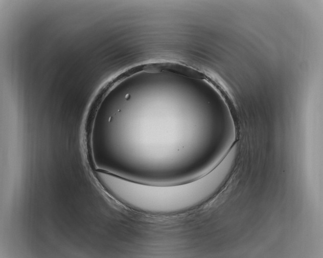 X0000112201072200908071429