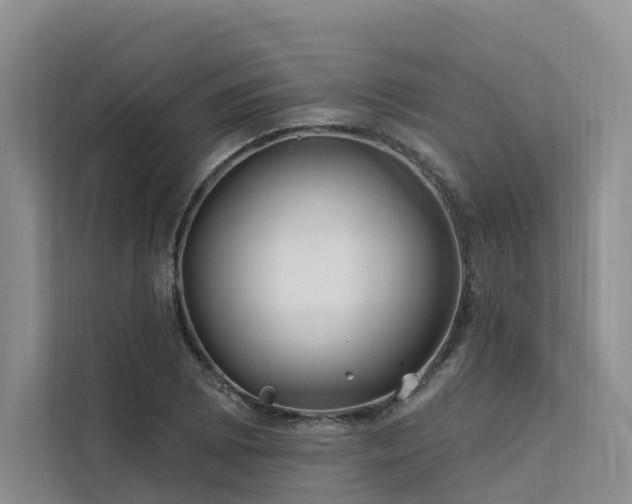 X0000112201073200908071429