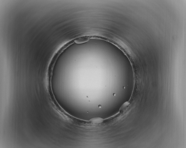 X0000112201076200908071429